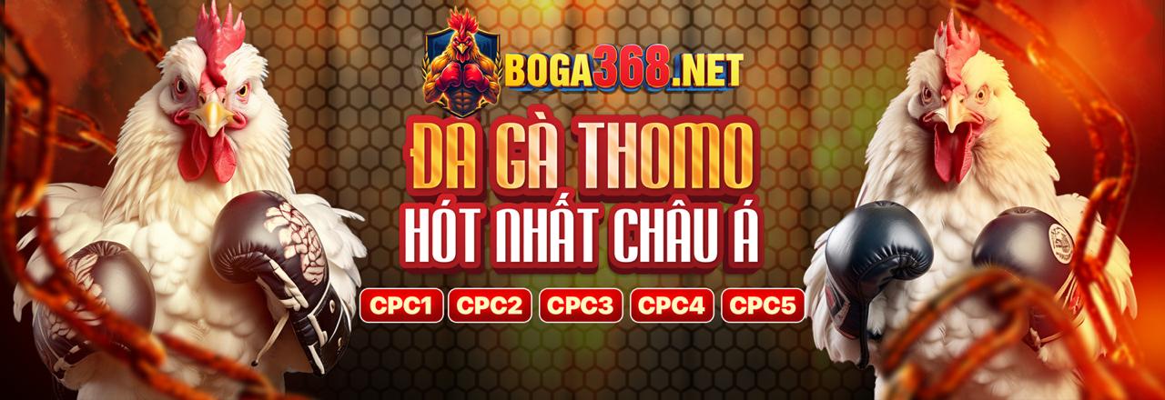 Kèo Wala trong đá gà trực tuyến 3win