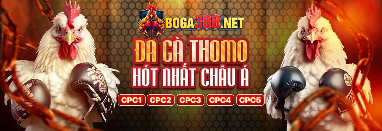 Đá gà kịch tính tại 3win