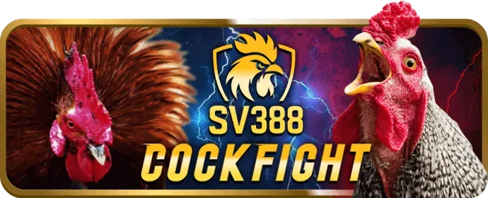Logo Visa