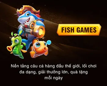 Thông tin về chúng tôi
